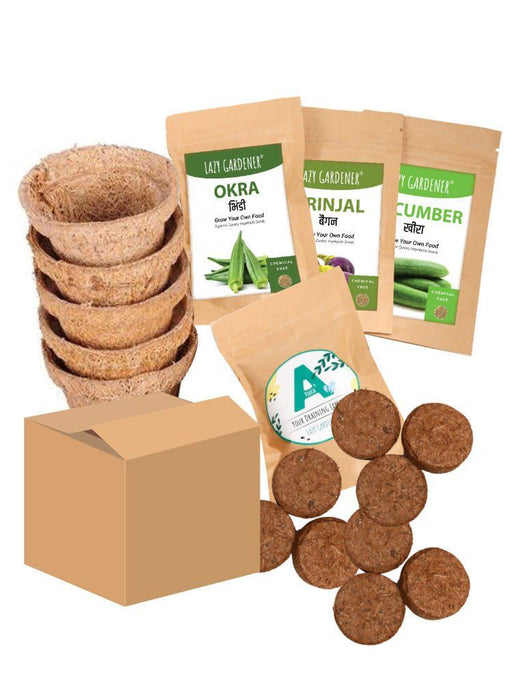 Summer Veggies Grow Kit (Brinjal, Okra, Cucumber) Grow Kit LazyGardener