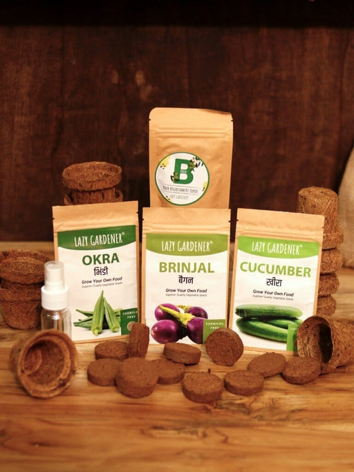 Summer Veggies Grow Kit (Brinjal, Okra, Cucumber) Grow Kit LazyGardener