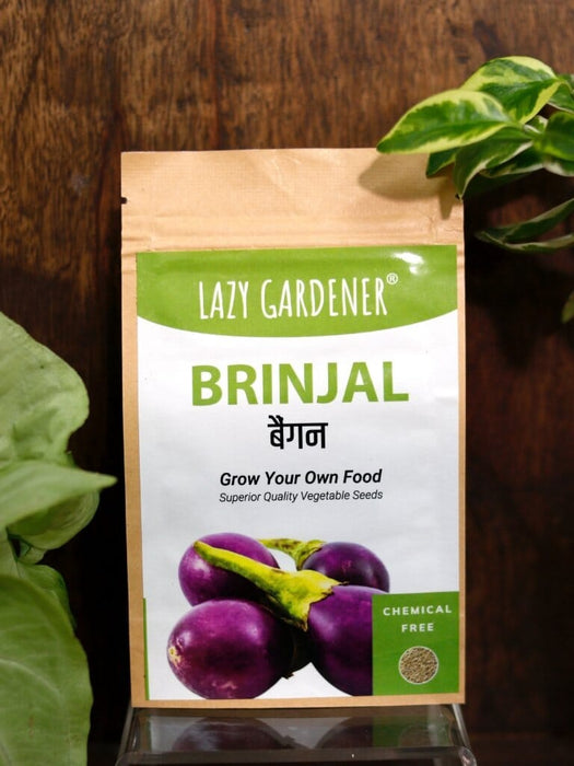 Summer Veggies Grow Kit (Brinjal, Okra, Cucumber) Grow Kit LazyGardener