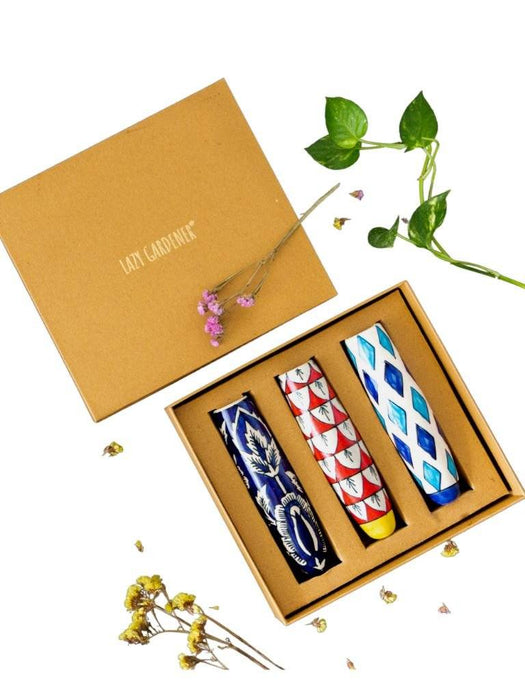 The Good Gift Box Trio LazyGardener