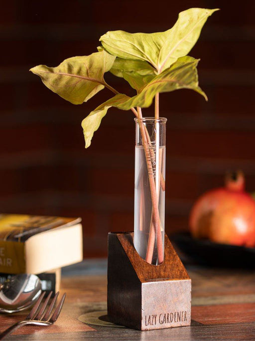 Timber Grove Solo (Table Top) Wooden single test tube planter LazyGardener