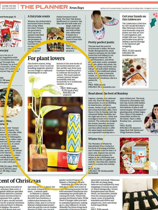 Timber Grove Solo (Table Top) Wooden single test tube planter LazyGardener