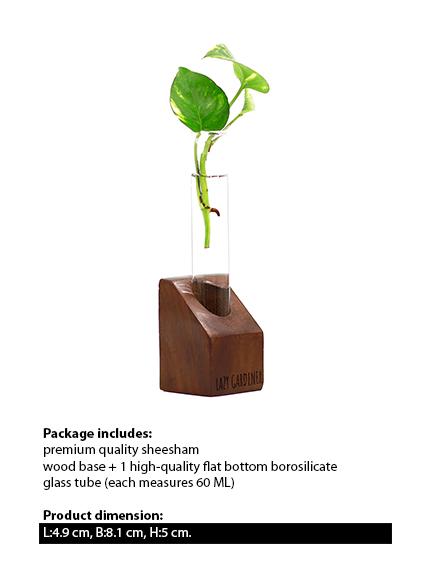 Timber Grove Solo (Table Top) Wooden single test tube planter LazyGardener