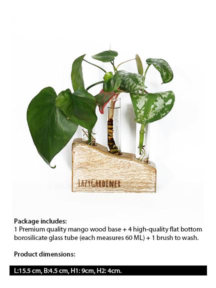 Timber Grove Trio (Table Top) Wooden Glass Tube Planter LazyGardener