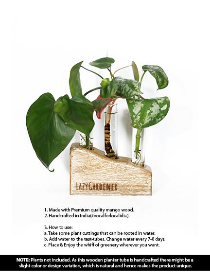 Timber Grove Trio (Table Top) Wooden Glass Tube Planter LazyGardener