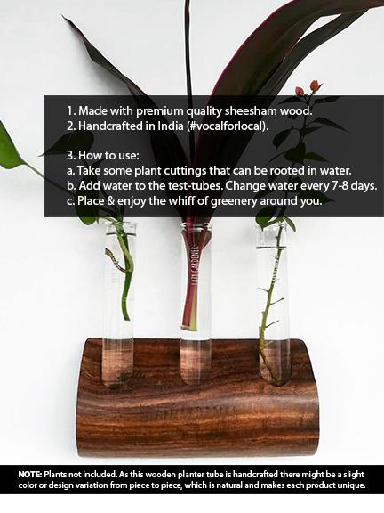 Timber Grove Trio (Wall-Mounted) Wooden Glass Tube Planter LazyGardener