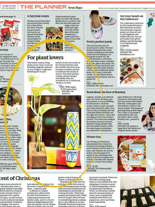 Timber Grove Trio (Wall-Mounted) Wooden Glass Tube Planter LazyGardener