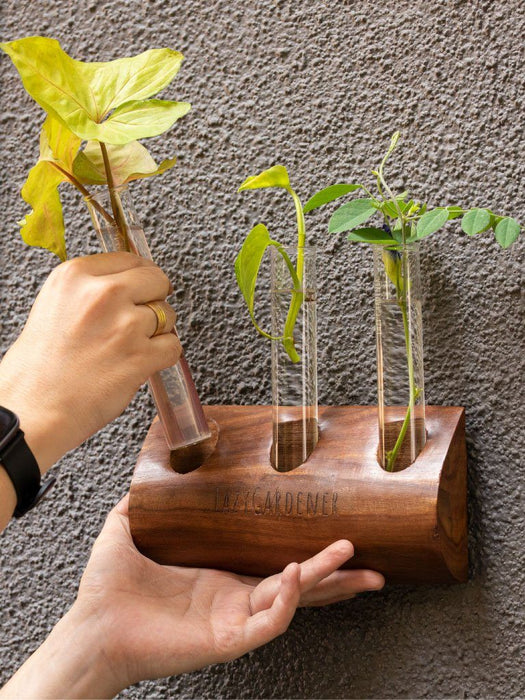 Timber Grove Trio (Wall-Mounted) Wooden Glass Tube Planter LazyGardener