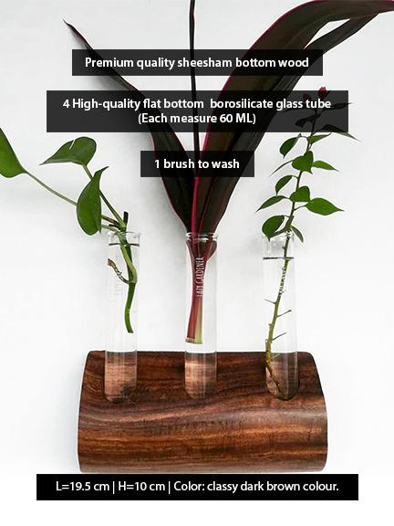 Timber Grove Trio (Wall-Mounted) Wooden Glass Tube Planter LazyGardener
