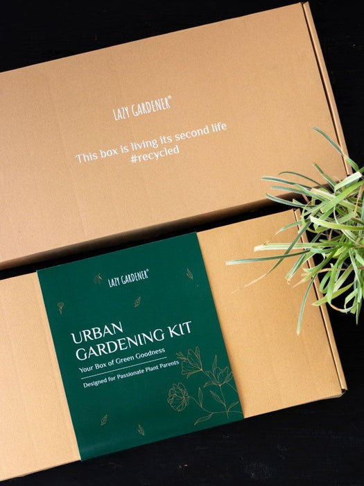 Urban Gardening Kit LazyGardener