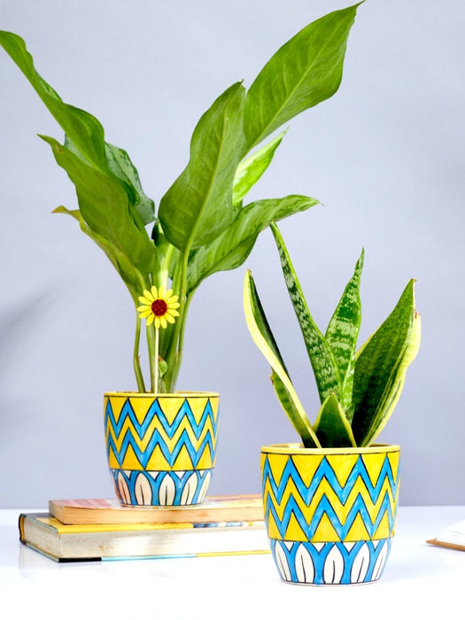 Primus - Zig Zag - Set of 2 - Ceramic Pots (Without Plant)