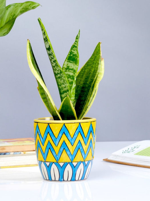 Primus - Zig Zag - Set of 2 - Ceramic Pots (Without Plant)