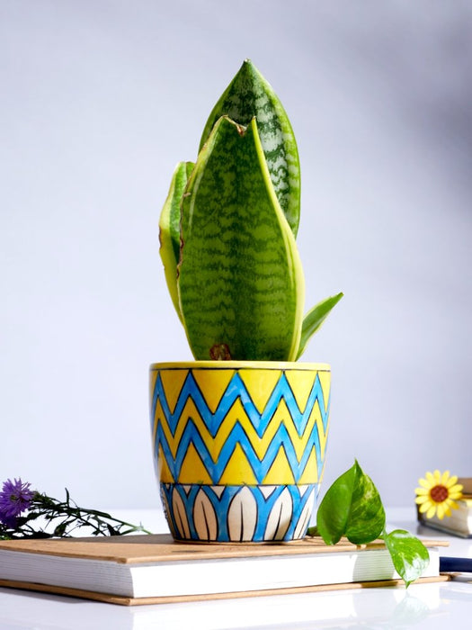 Primus - Zig Zag - Set of 2 - Ceramic Pots (Without Plant)