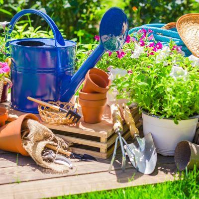 Top Gardening Tools: Essential for beginners
