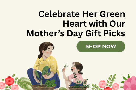 Mother's Day Special Gifts with Lazy Gardener | Curated with love