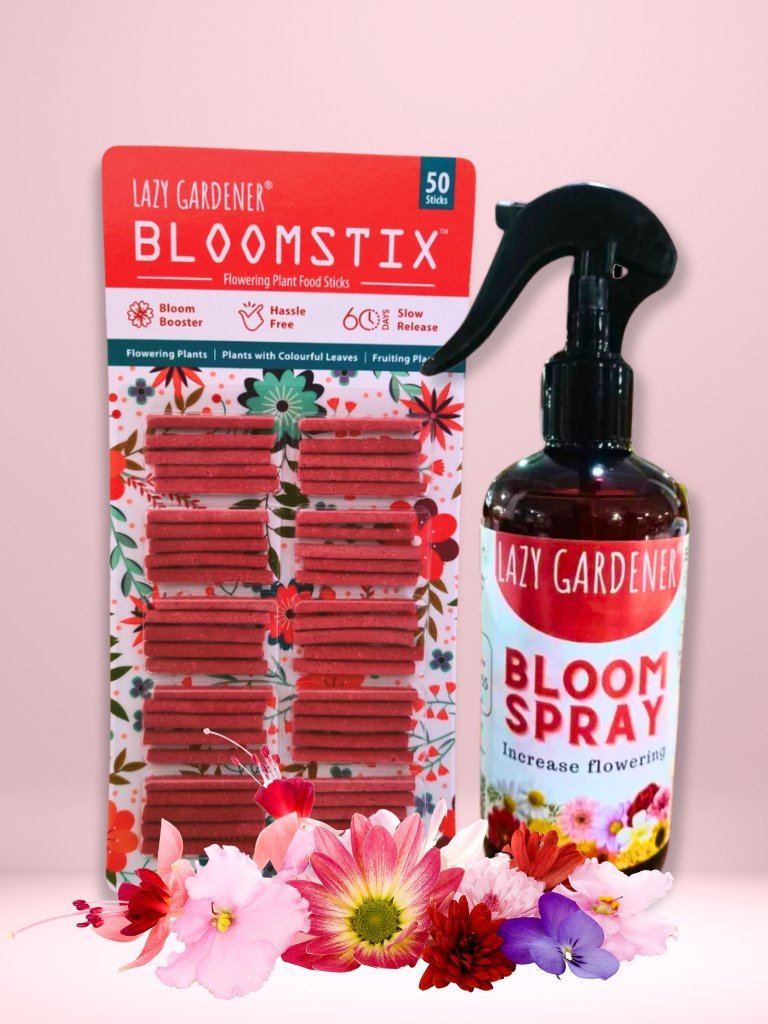 Bloom Burst Spray - Flowering Spray for Plants