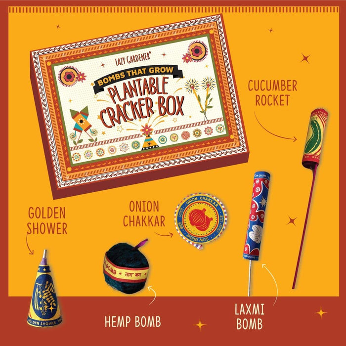 Plantable Seed Cracker Box - Unique Diwali Gift