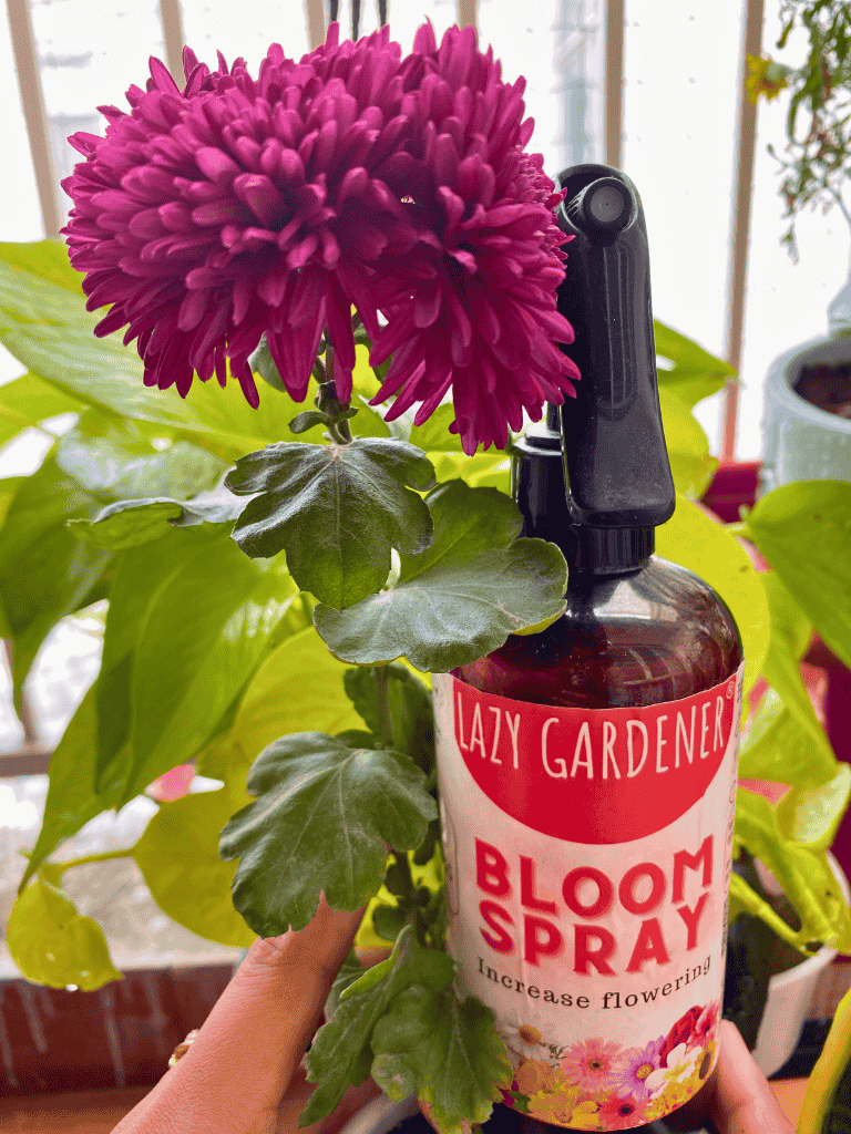 Bloom Burst Spray - Flowering Spray for Plants