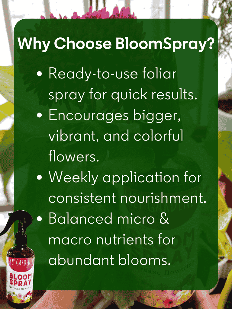 Bloom Burst Spray - Flowering Spray for Plants