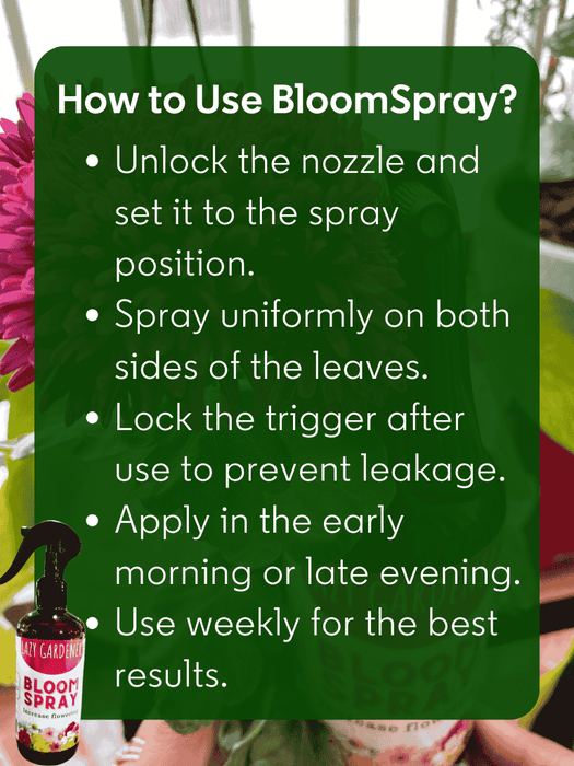 Bloom Burst Spray - Flowering Spray for Plants