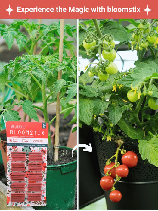 Get 100 Fertilizer Stix - Get Growth Boost(100ML) Free
