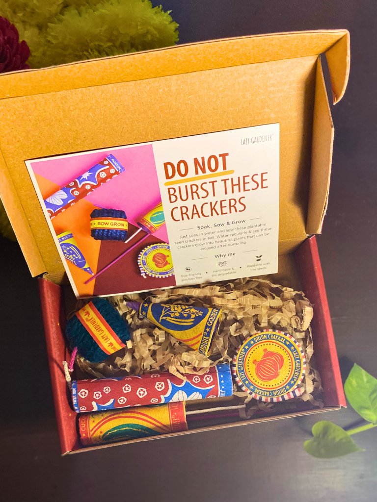 Plantable Seed Cracker Box - Unique Diwali Gift