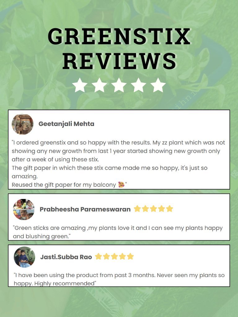 Greenstix Reviews.png__PID:fbc8760b-1ef2-4f9b-b9f8-3ec260661d81