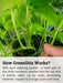 Greenstix how it works.png__PID:990b73fb-c876-4b1e-b2ff-9bf9f83ec260