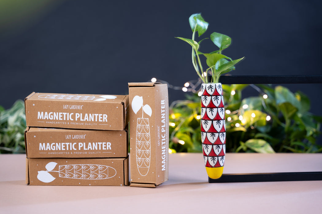 Magnetic Hydroponic Planter (Set of 3)