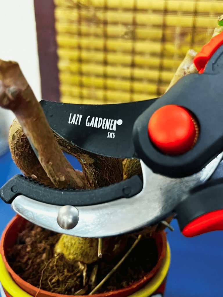 Anvil Cutter & Bypass Pruner for Plants.