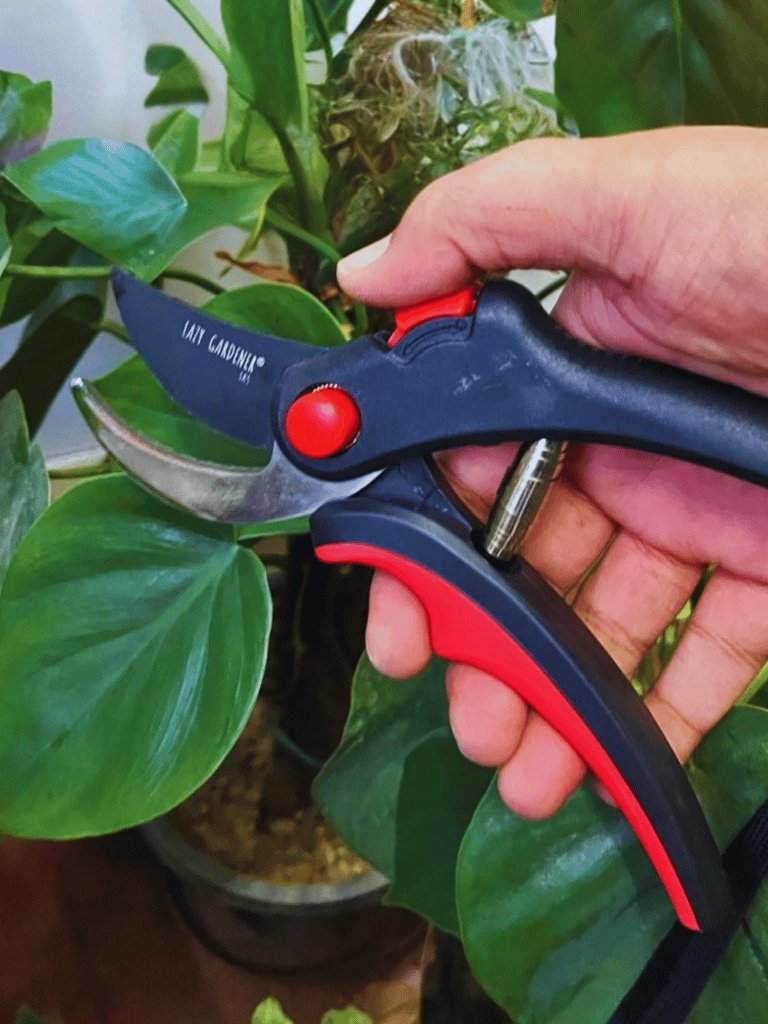 Anvil Cutter & Bypass Pruner for Plants.