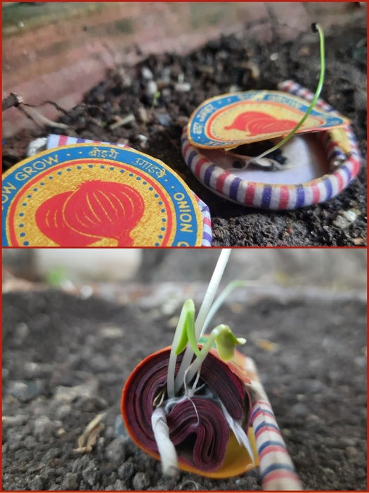 Plantable Seed Cracker Box - Unique Diwali Gift