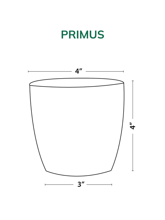 Primus - Diamond - Set of 2 - Ceramic Pots (Without Plant)