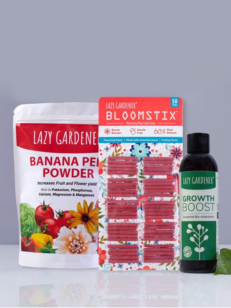 Plant Food Sticks Buy Nutrition Sticks For Plants Online — Lazy