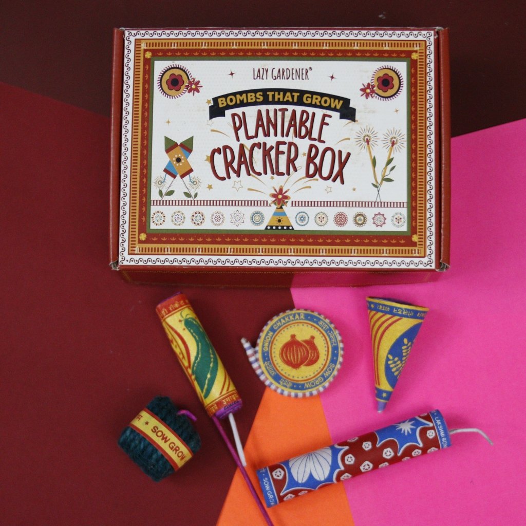 Plantable Seed Cracker Box - Unique Diwali Gift