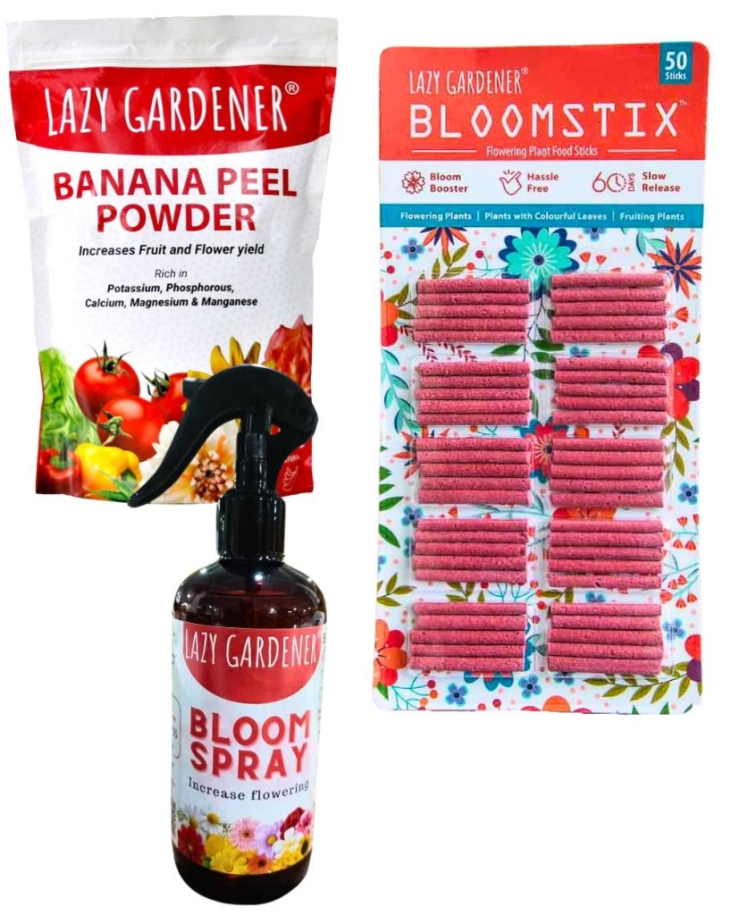 Bloom Burst Spray - Flowering Spray for Plants