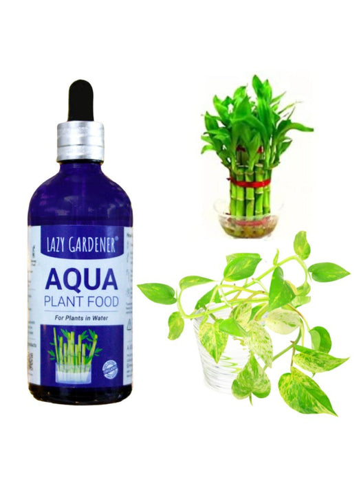 Aqua Plant Food - Fertilizer for plants growing in water