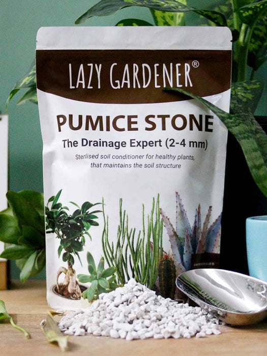 Drainage Expert: Pumice Stone for Plants Pumice stone LazyGardener 