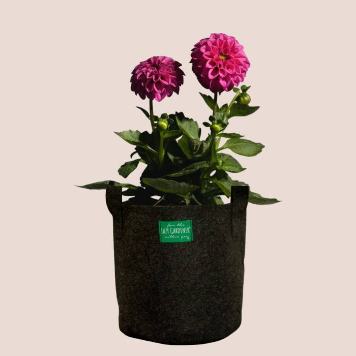 Cloth Bag Flower Pot Silicone Mold-cloth Sack Succulent Pots Mold-planter  Pot Home Decor Mold-concrete Cement Jesmonite Flowerpot Mold - Etsy |  Succulents indoor, Cement flower pots, Growing succulents