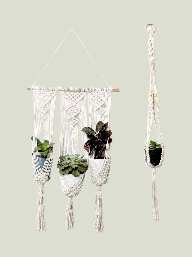 Macrame Plant Hangers: Indoor Plant Hangers Handmade by Indian Artisans