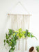 Macrame Plant Wall Hanger (Triple Plant Hanger+ Creme Beads Knotted) LazyGardener 