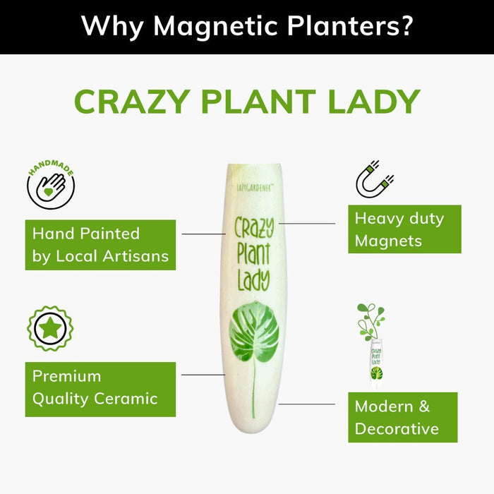 Magnetic Planters- Crazy Plant Lady- Set of 1