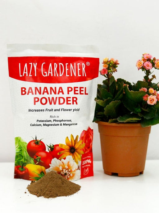 Organic Banana Peel Powder (Fertilizer) Banana peel powder LazyGardener 