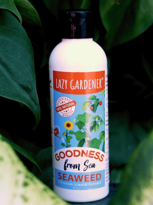 Organic Seaweed Liquid Fertilizer LazyGardener 