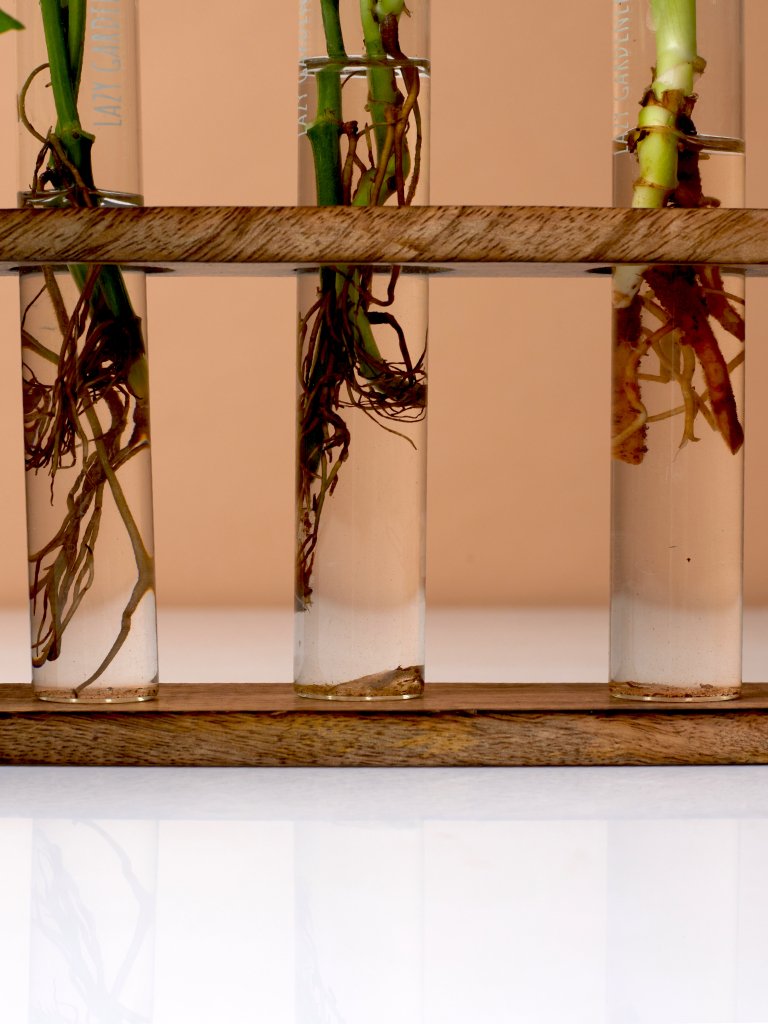 Timber Grove Elegant Trio - Test Tube Planter