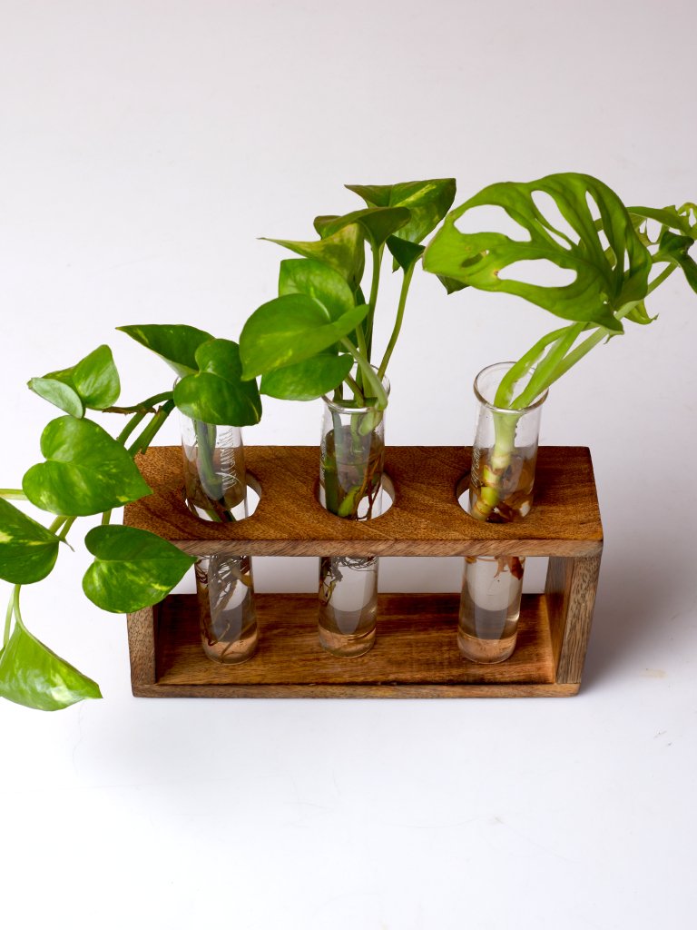 Timber Grove Elegant Trio - Test Tube Planter