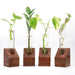 Propagation Station Mini - Sheesham wood Wooden single test tube planter LazyGardener 4 