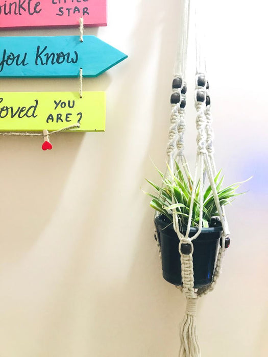 Spider Plant Macramé Hanger