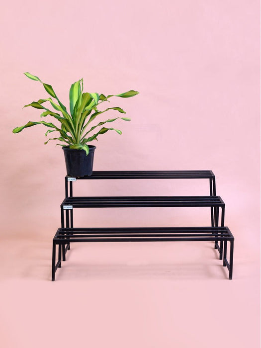 Cascade Plant Stand - 3 Step Plant stand | Rust Free | Heavy Duty
