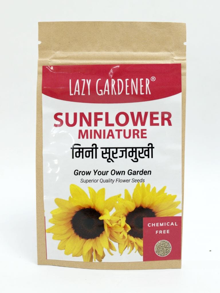 Summer Flowers Grow Kit (Zinnia, Morning Glory, Sunflower) LazyGardener 